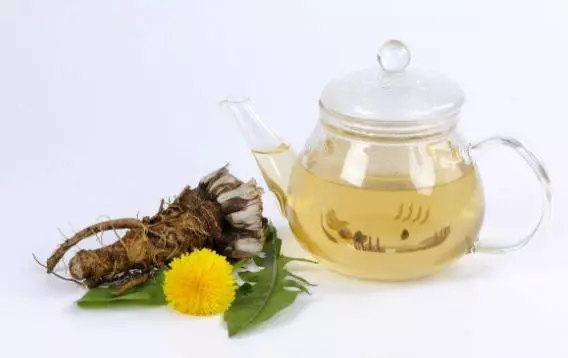 蒲公英被稱為藥草皇后,營養豐富,蒲公英泡水用根好還是葉子好?