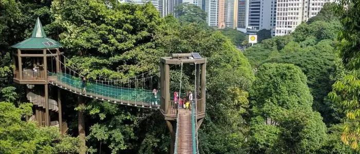 Check-in Cafe已經Out了!Klang Valley【Top 4綠色大自然】讓你拍照打卡,健康度過周末❤