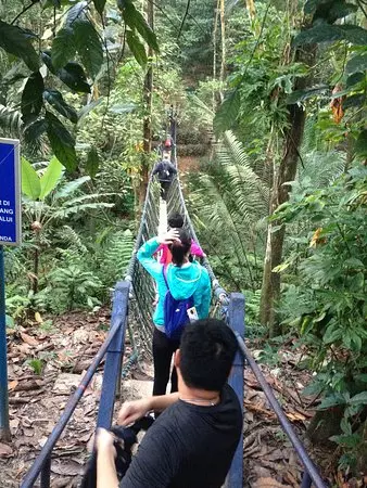 Check-in Cafe已經Out了!Klang Valley【Top 4綠色大自然】讓你拍照打卡,健康度過周末❤