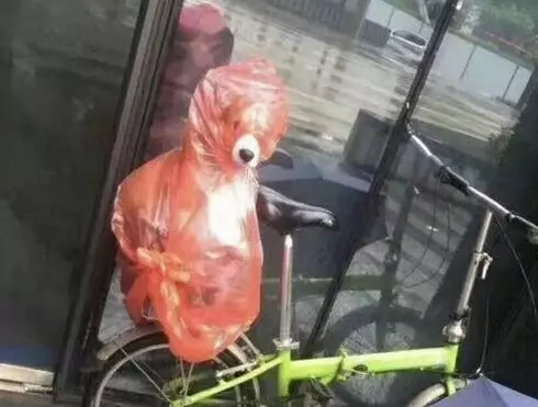 主人自製遛狗車,小土狗乖巧蹲坐著,但表情卻出賣了它
