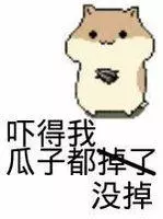 主人去逛超市,將二哈拴在樹上,定睛一看笑出豬叫聲