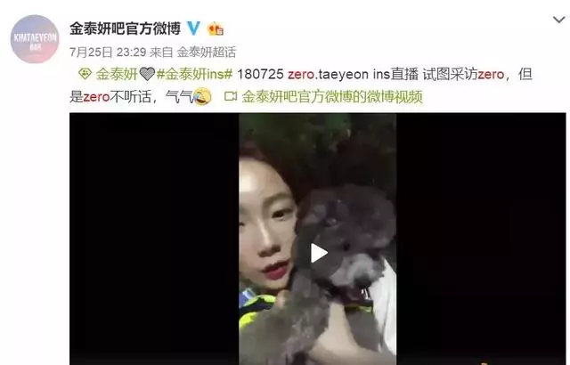 金泰妍,權志龍,WANNA·ONE明星愛犬的面子也太大了