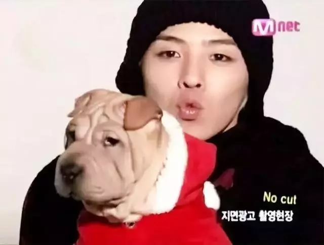 金泰妍,權志龍,WANNA·ONE明星愛犬的面子也太大了