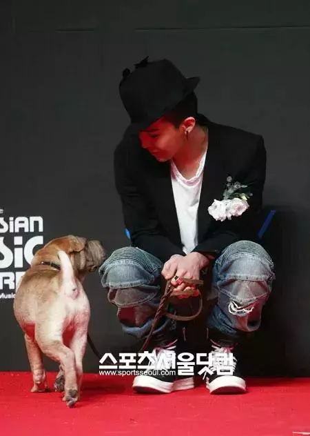 金泰妍,權志龍,WANNA·ONE明星愛犬的面子也太大了
