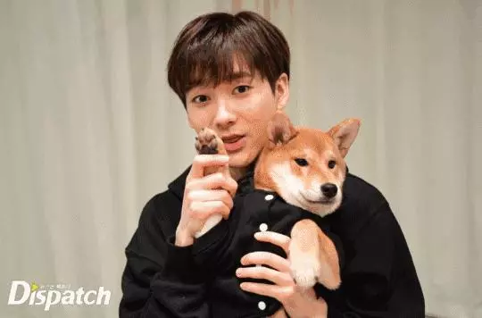 金泰妍,權志龍,WANNA·ONE明星愛犬的面子也太大了