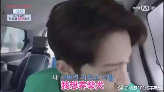 金泰妍,權志龍,WANNA·ONE明星愛犬的面子也太大了