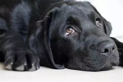 從疲勞到猝死只有6步!你的疲勞有多嚴重?這樣做才能贏回健康
