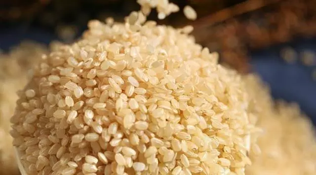 玄米一點也不「玄」,但它的這些好處,你未必知道