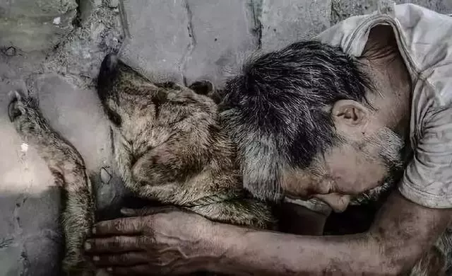 生活有點苦,餘生就拜託你了……