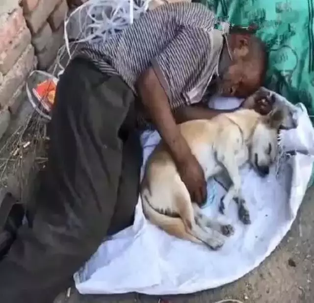 生活有點苦,餘生就拜託你了……