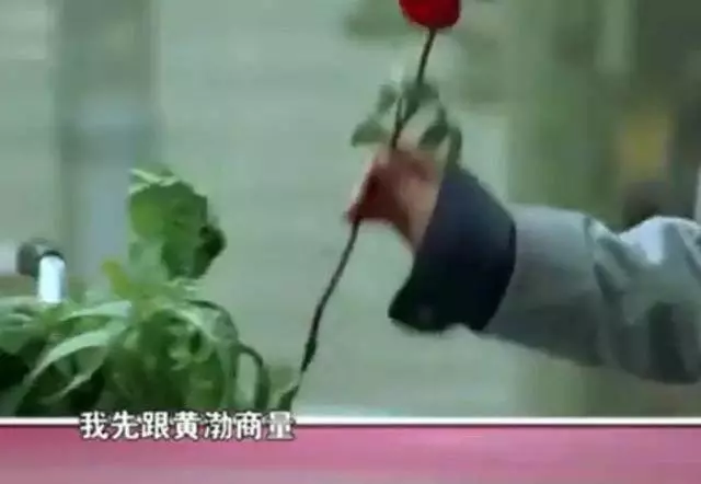 周杰倫的脾氣有多好?當年閆妮拿著盜版碟去找周杰倫簽名
