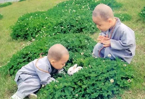 心理測試:口渴你會吃哪個水果?測你有哪種好命!