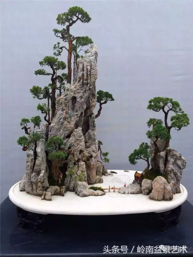 玩盆景,搞懂這十個字,您就入門了
