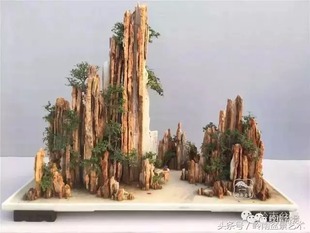 玩盆景,搞懂這十個字,您就入門了