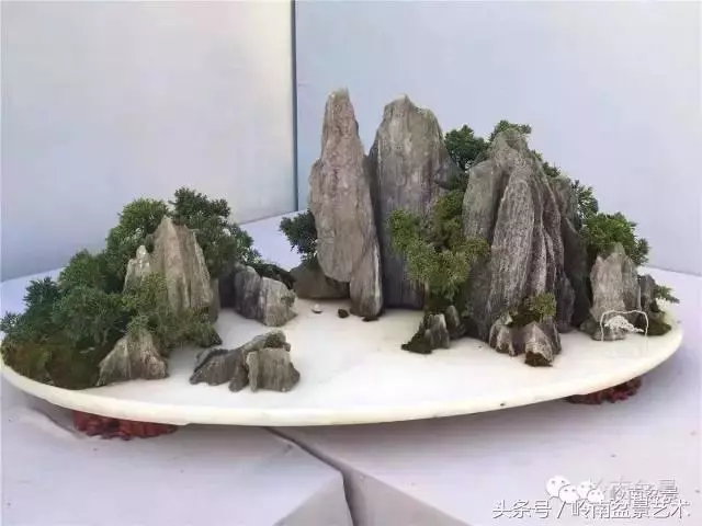 玩盆景,搞懂這十個字,您就入門了
