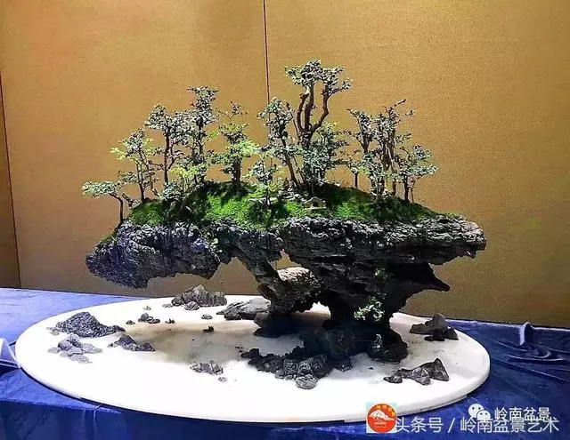 玩盆景,搞懂這十個字,您就入門了