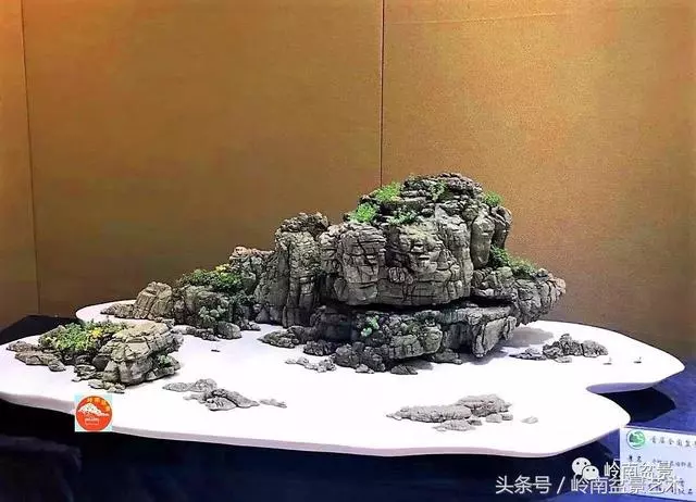 玩盆景,搞懂這十個字,您就入門了