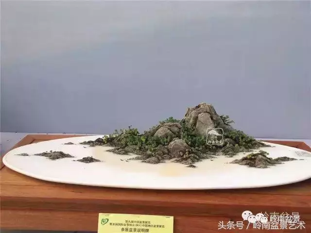 玩盆景,搞懂這十個字,您就入門了