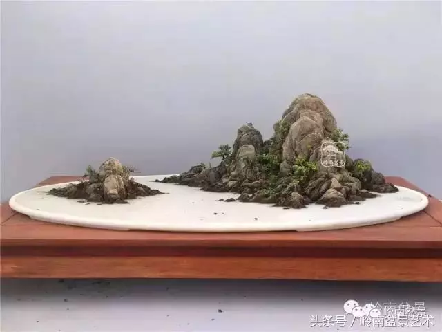 玩盆景,搞懂這十個字,您就入門了