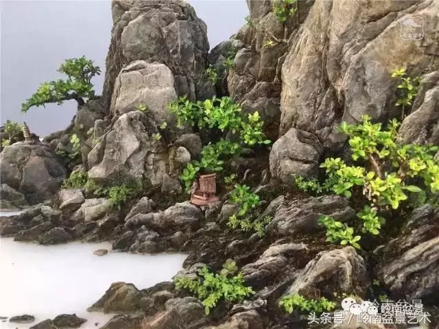 玩盆景,搞懂這十個字,您就入門了