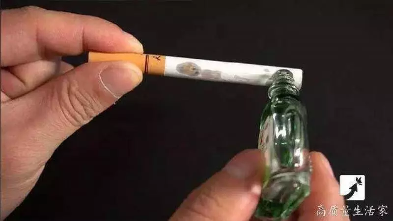 風油精倒進白醋里,解決了家家戶戶最大的困擾