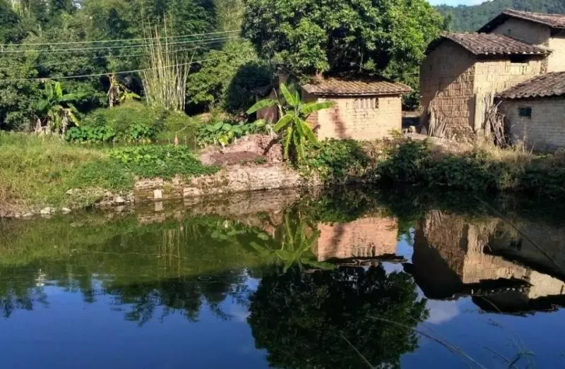 農婦半夜去魚塘放水,聽見鄰居孩子在水裡呼救,事後她說那不是人
