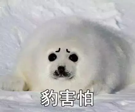 養狗人注意:狗狗出現這7個跡象,就意味著它肚子裡全是寄生蟲