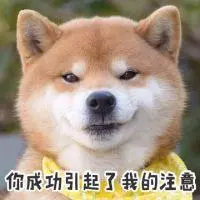 我家狗一點都不笨!只是把智商都用在了騙吃騙喝上