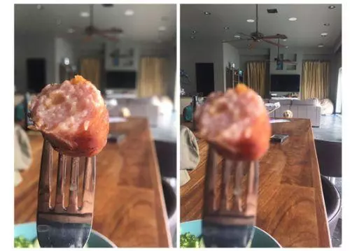 我家狗一點都不笨!只是把智商都用在了騙吃騙喝上