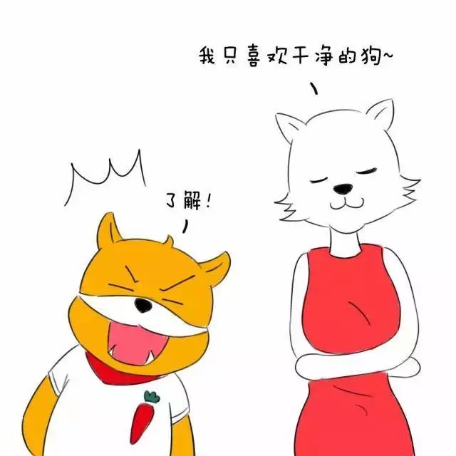 狗狗十分鐘洗澡秘訣:多一分則嫌長,少一分則嫌短