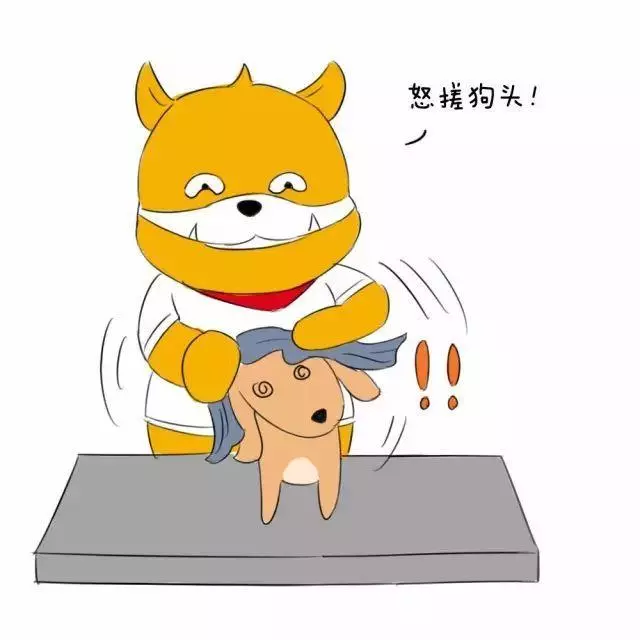 狗狗十分鐘洗澡秘訣:多一分則嫌長,少一分則嫌短