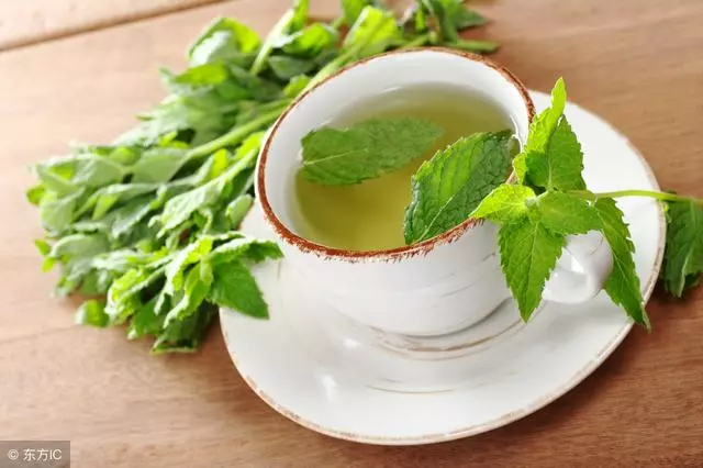 上火好煩惱,這杯茶是天然「降火藥」,讓心火、肝火、胃火不再燒
