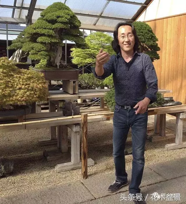 Michael Hagedorn和他美國特色的盆景
