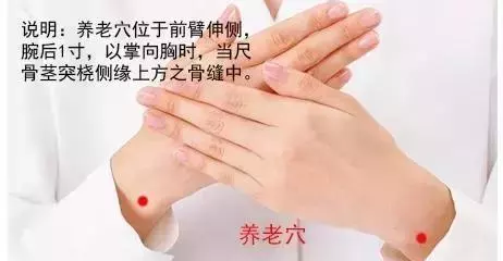 養肝就是養命!萬萬不可錯過的養肝秘籍!