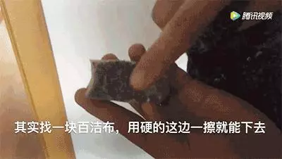 洗衣服時不小心把衛生紙洗了?教你一招,輕鬆去除碎紙屑