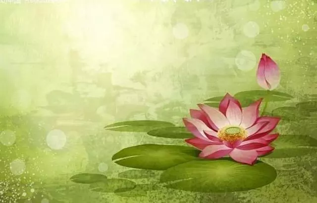 8月3日開始,9大生肖,頭獎瘋狂中不停! - 好運加油贊