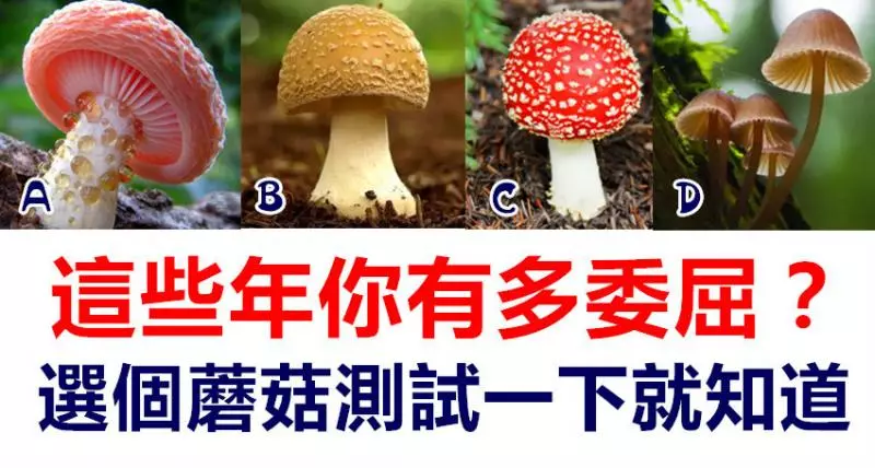 這些年你有多委屈,選個蘑菇測試一下就知道 - 好運加油贊