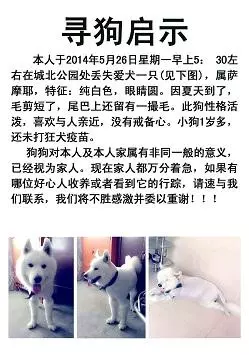 血的教訓告訴你,狗狗出門,一定要記得帶上「牽引」