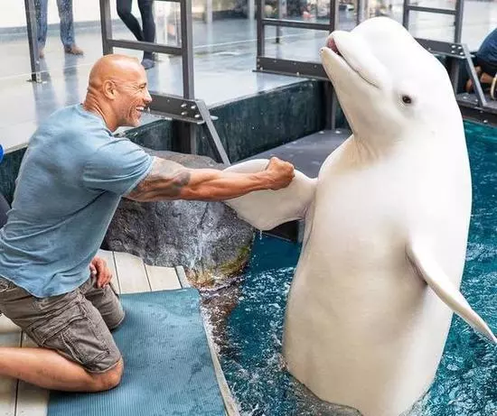 巨石強森去水族館遊玩 和鯨鯊合照時說了這一句話 卻遭來網友怒批