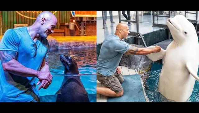 巨石強森去水族館遊玩 和鯨鯊合照時說了這一句話 卻遭來網友怒批