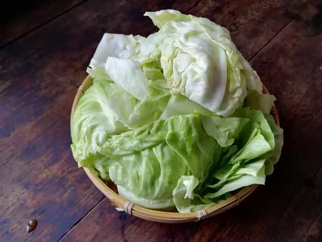 包菜的這個家常做法是在太好吃了,十分鐘炒一盤,口感脆嫩又下飯!