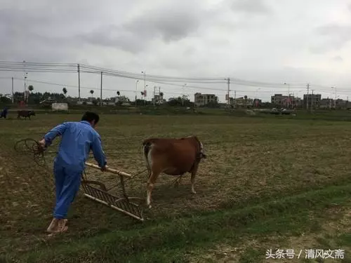女大學生遠嫁窮小子,婚禮上母親把卡偷塞包里,知道餘額一夜沒睡
