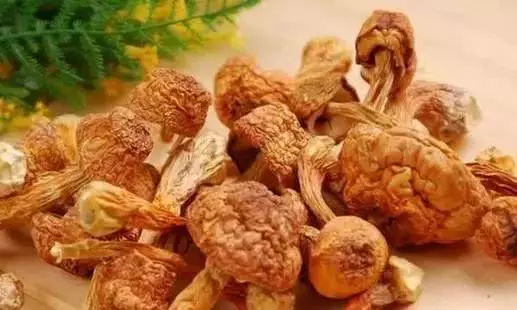 血栓碰到「對手」了,經常吃一點,血液不粘稠,血管一通到底