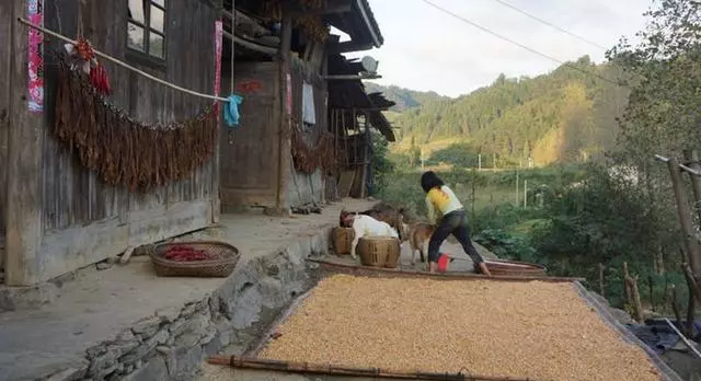 奶奶撿破爛養大她,出嫁時父母來要彩禮,她花五十萬忍痛懲罰他們