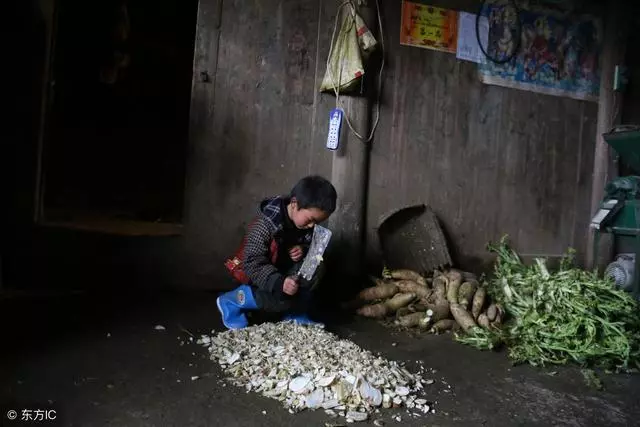 9歲男孩上山放牛,遇「母子」問路,故意指錯誤方向,卻破了大案