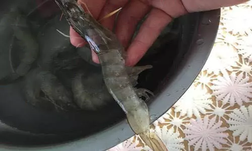 做好美味的油燜大蝦:只需7步,簡單搞定,好吃又營養!
