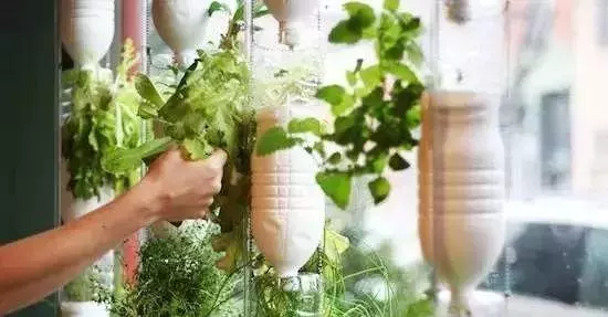 用一點「食鹽」和「醋」就能解決的事,別再花冤枉錢了!超多新用途,歡迎分享