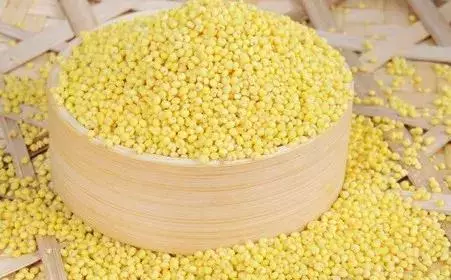 人體80%的「垃圾」在血液中?10種清血食物幫你輕鬆排出體內垃圾