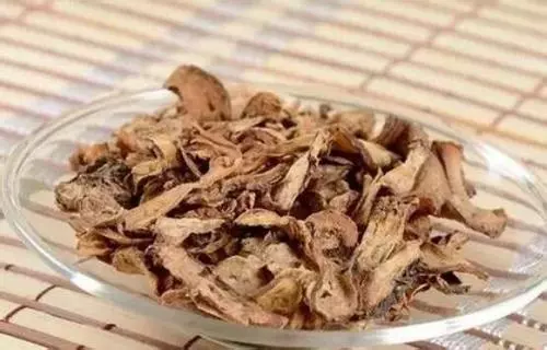 蒲公英是天然的抗生素,這3個大忌你不注意,喝再多也是浪費了