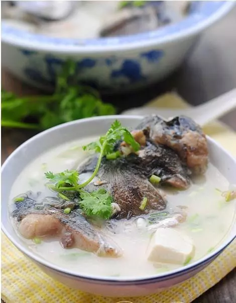愛吃魚頭的請收藏，（精選）15種魚頭最經典的做法，天天吃不膩！